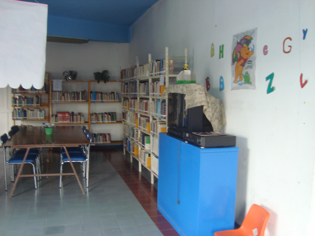 imagen1