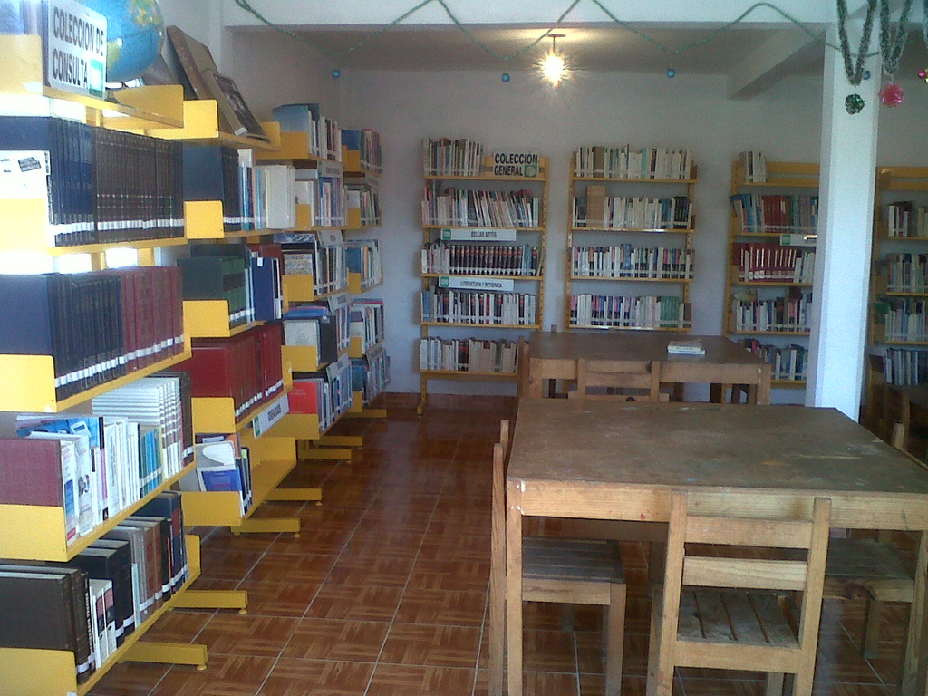 imagen1