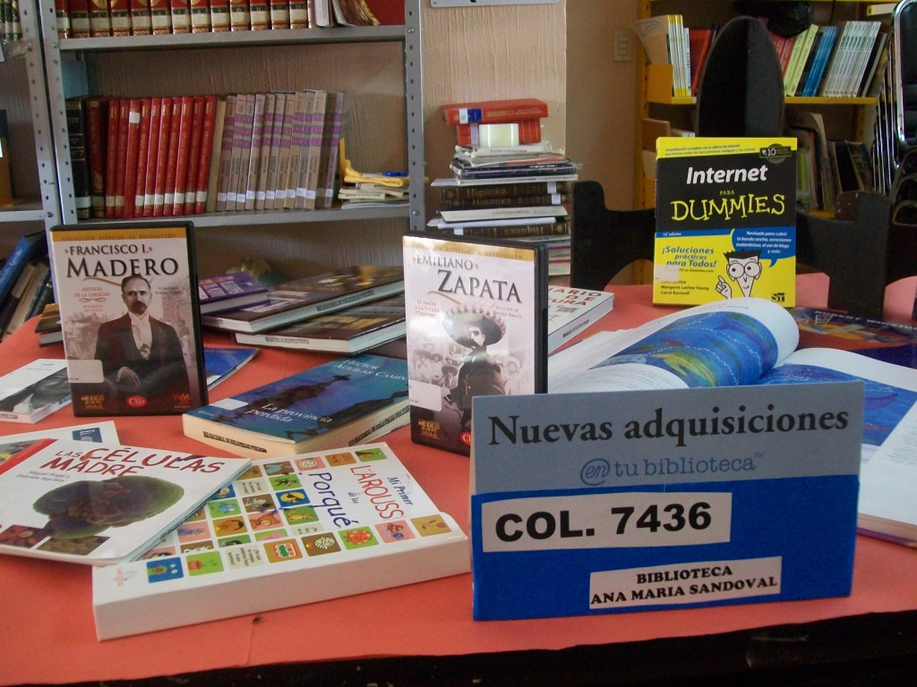 imagen3