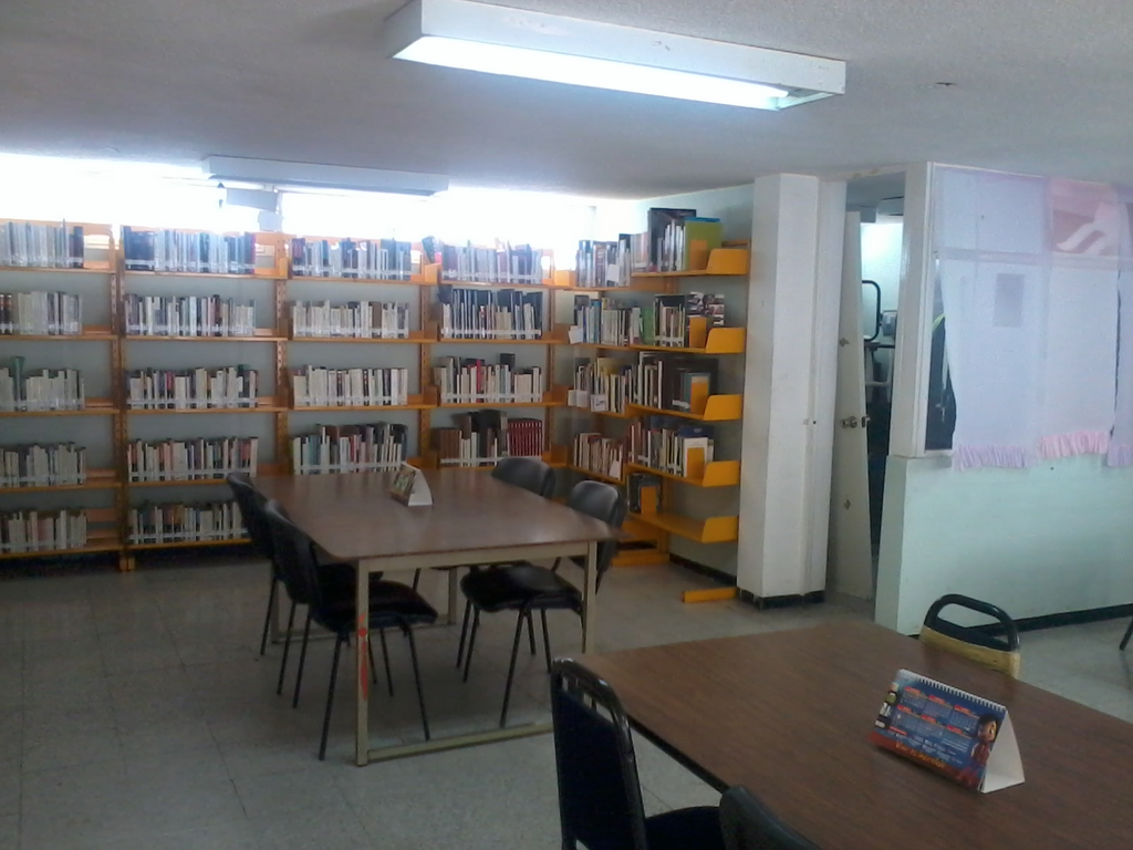 imagen2