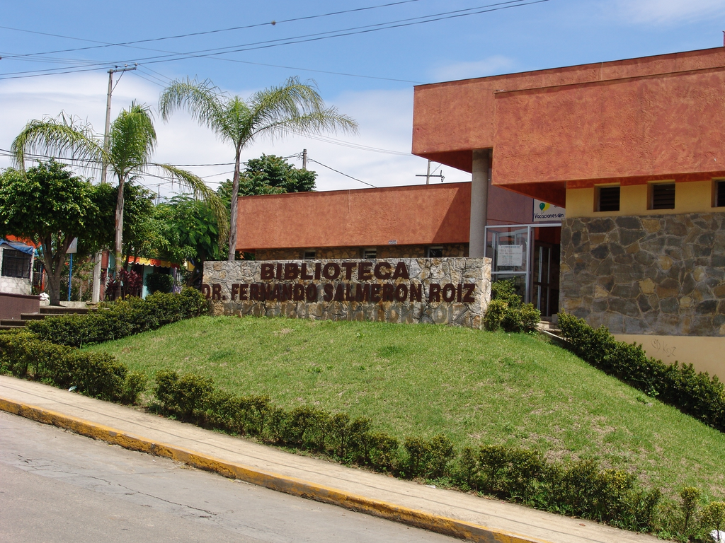 imagen3