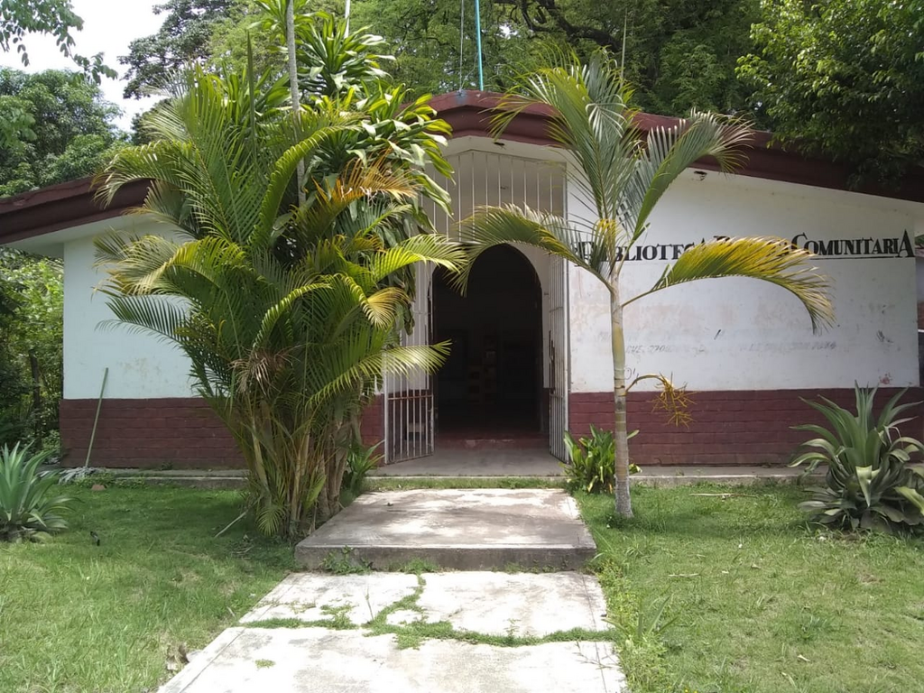 imagen1