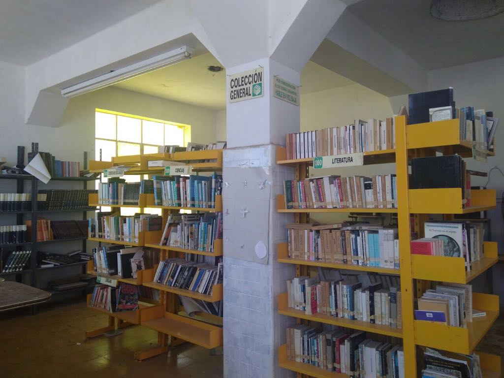 imagen3