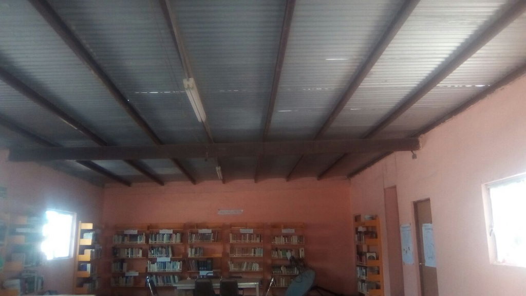 imagen1