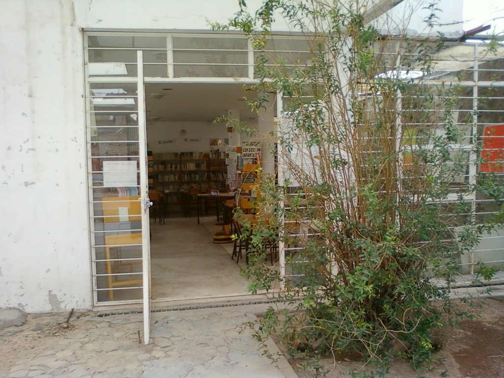 imagen3