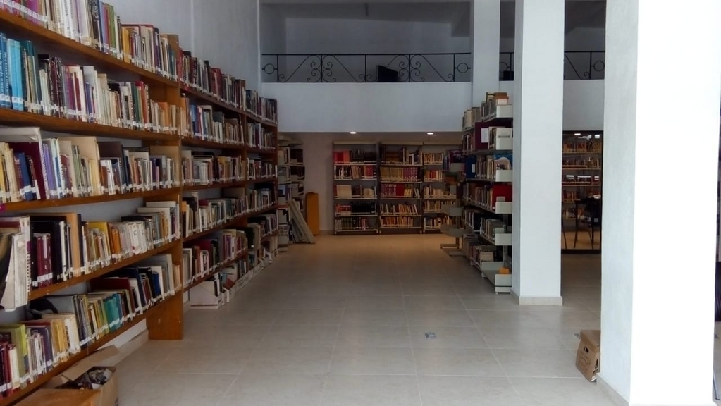 imagen3