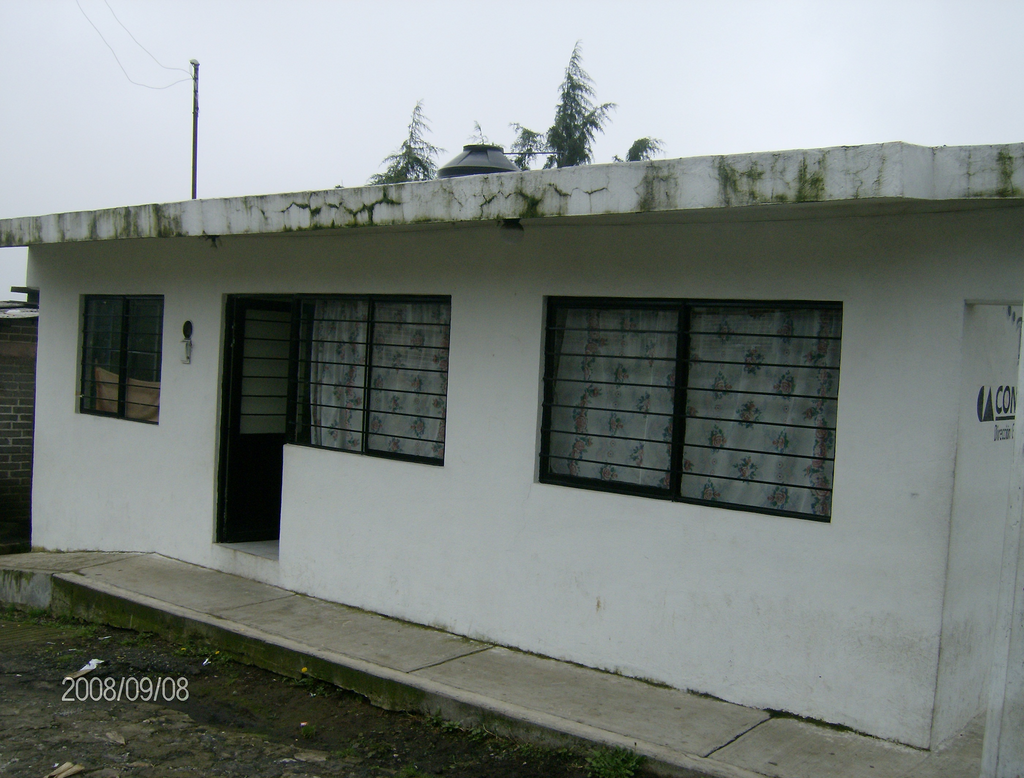 imagen1