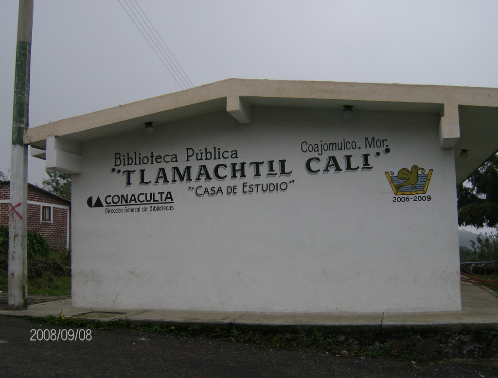 imagen3