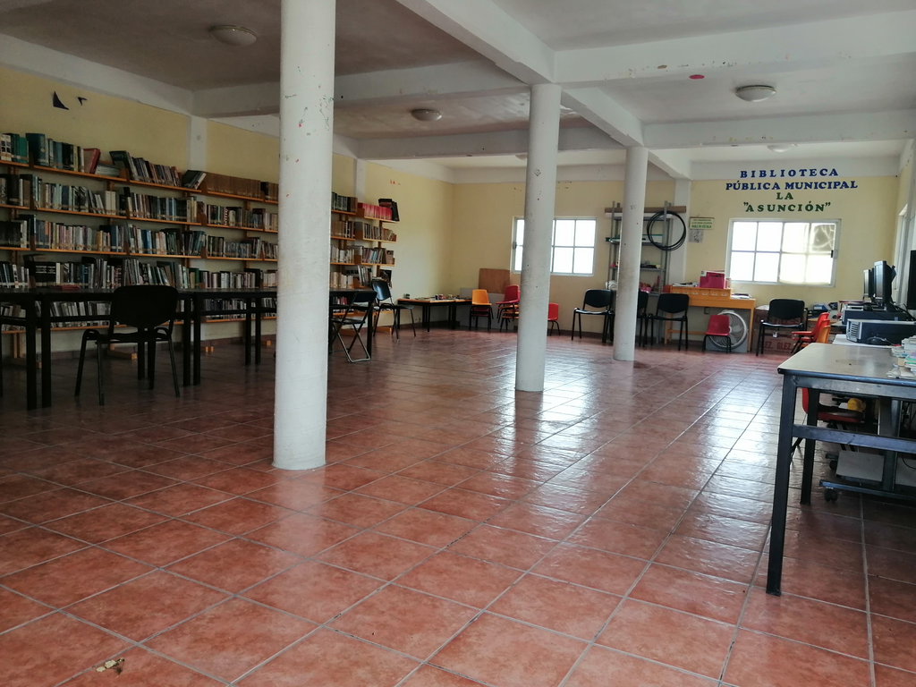 imagen2
