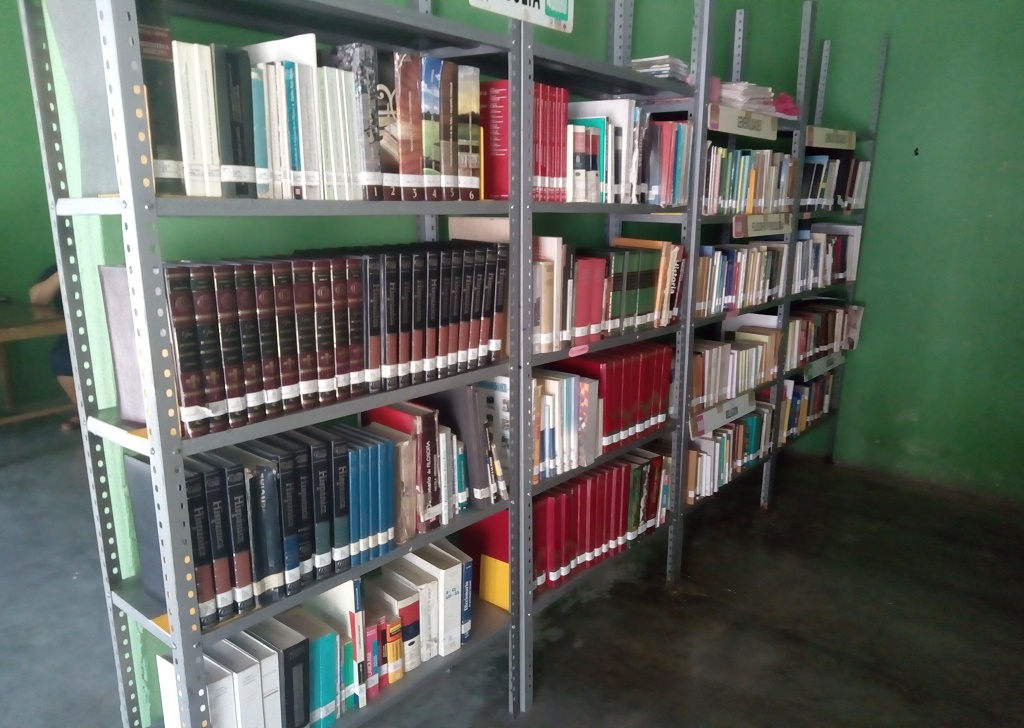 imagen3