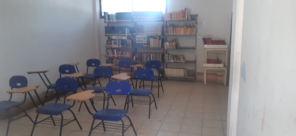 imagen1