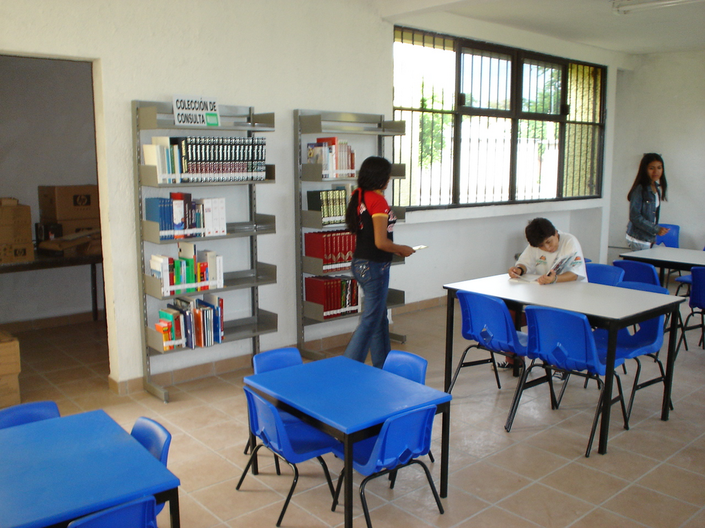 imagen3