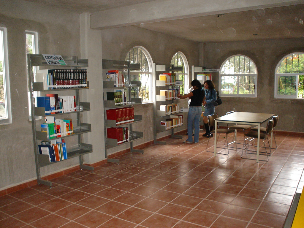 imagen3