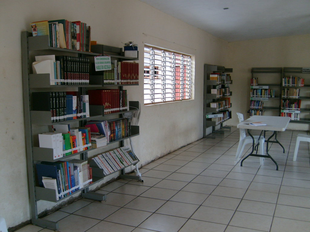 imagen3