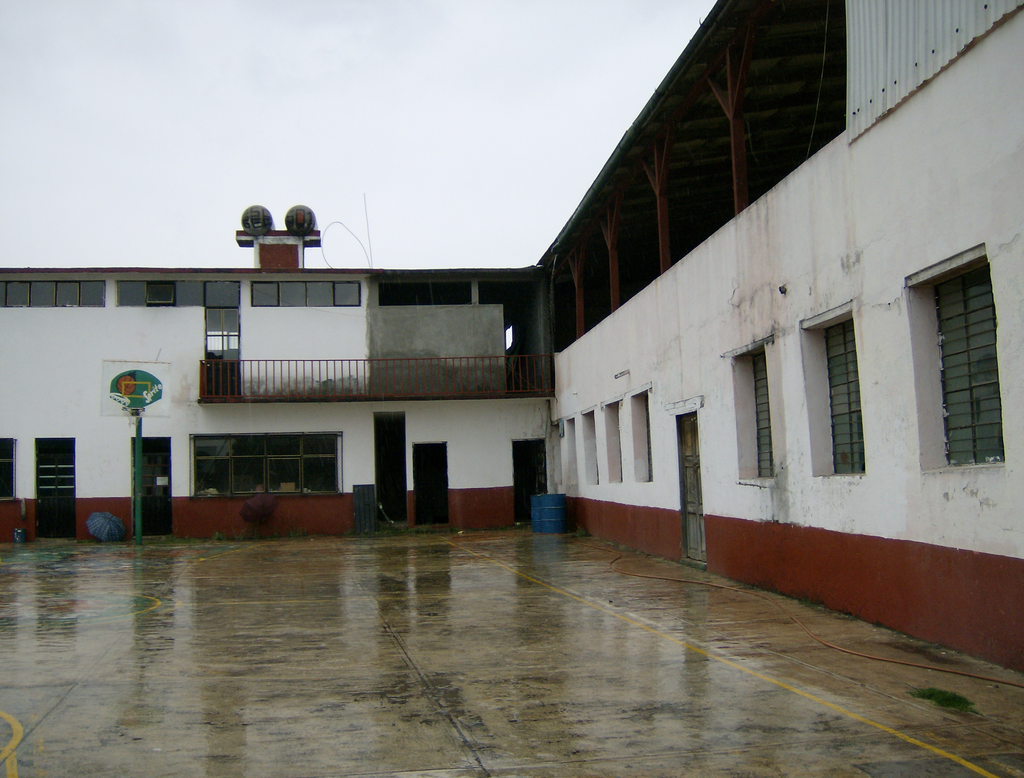 imagen1