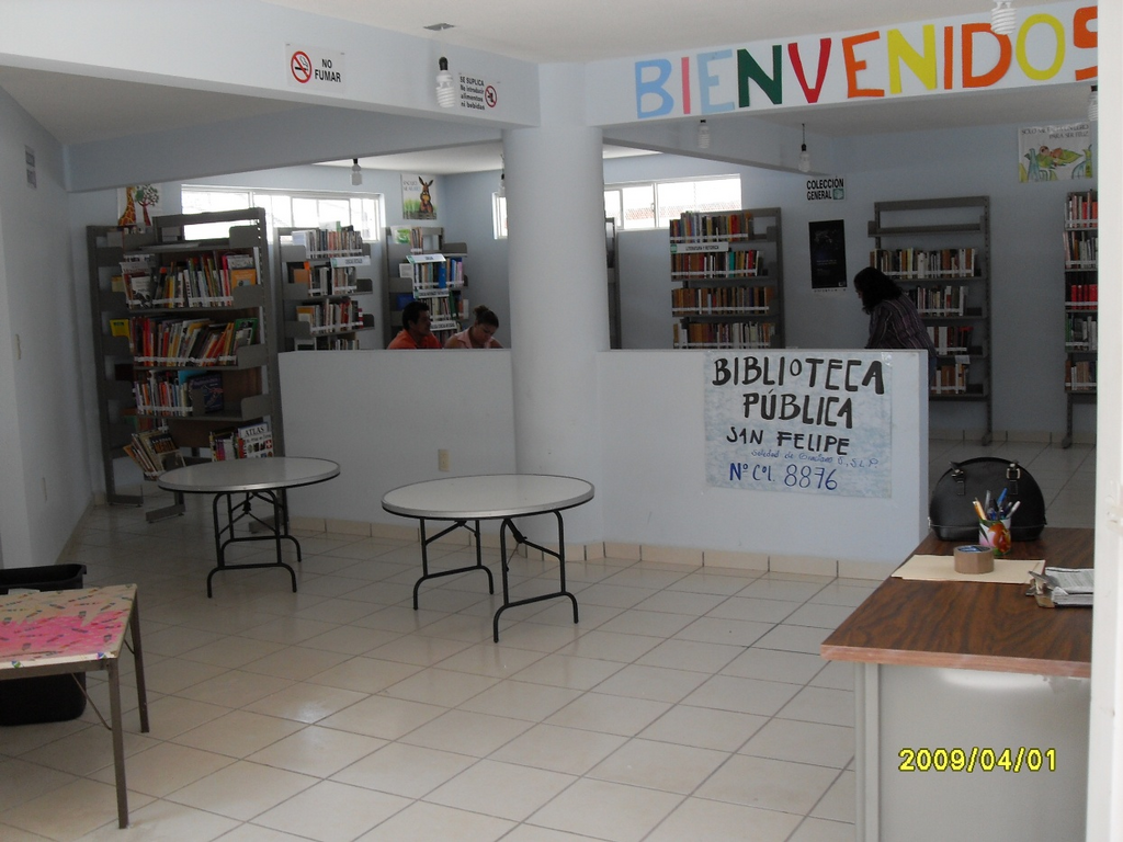 imagen3