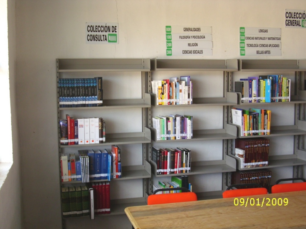 imagen3
