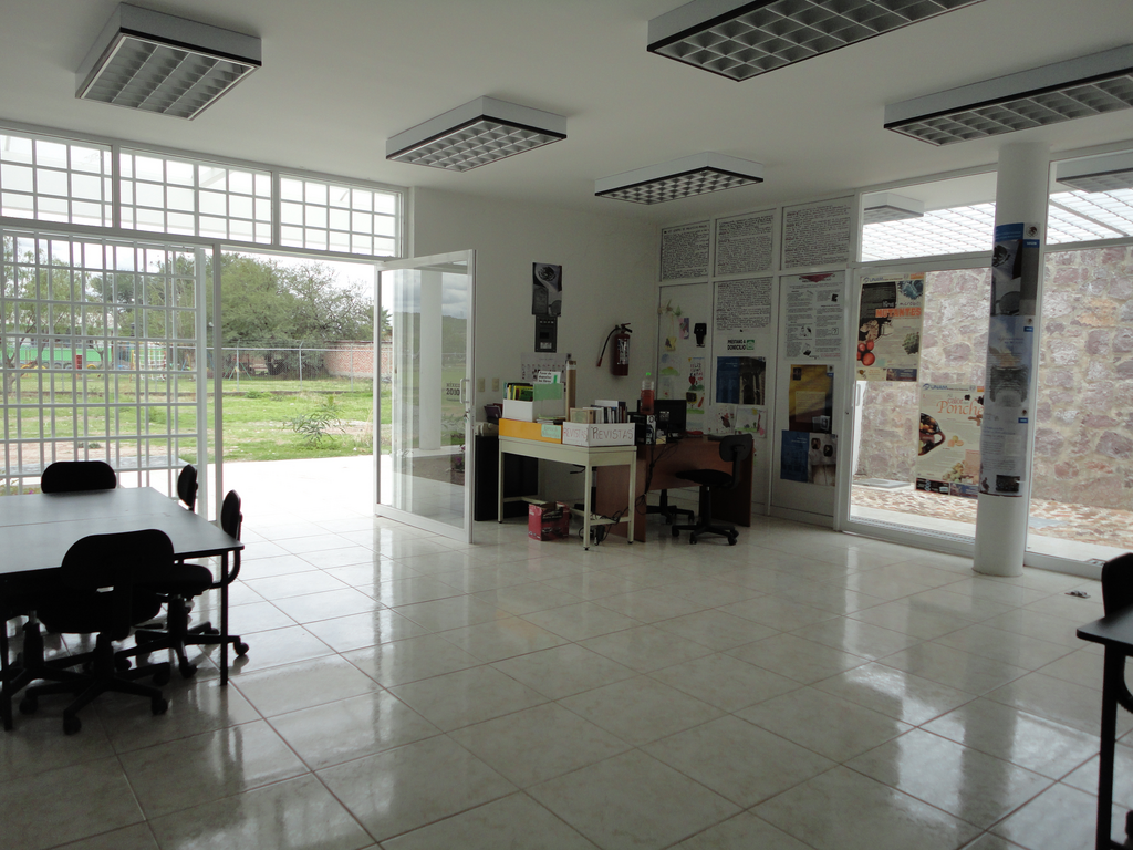 imagen3