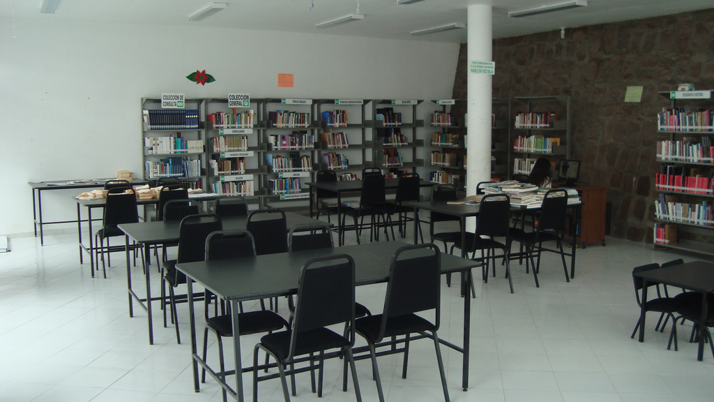imagen1