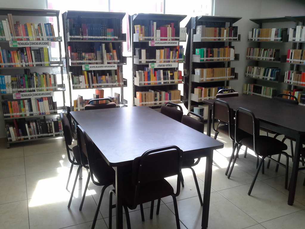 imagen3