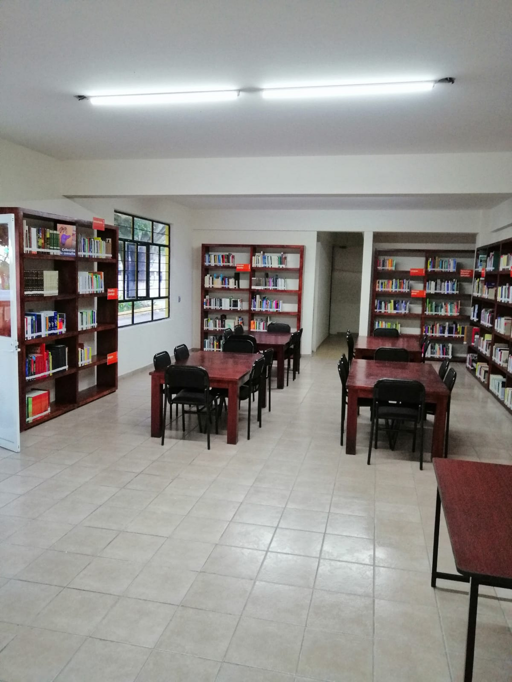imagen2