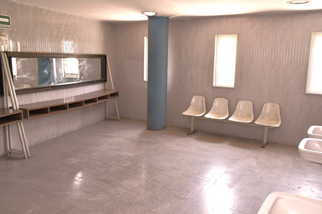 imagen3