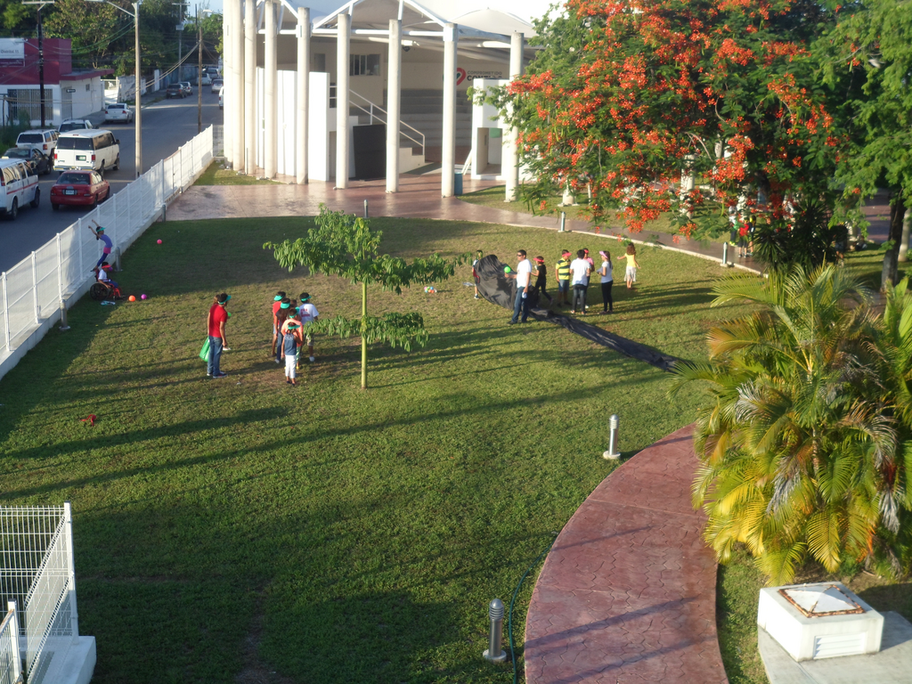 imagen2
