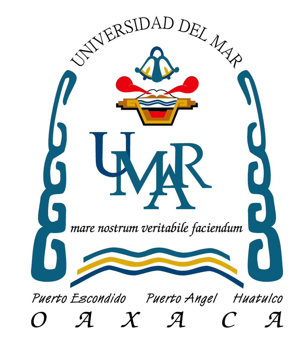imagen1