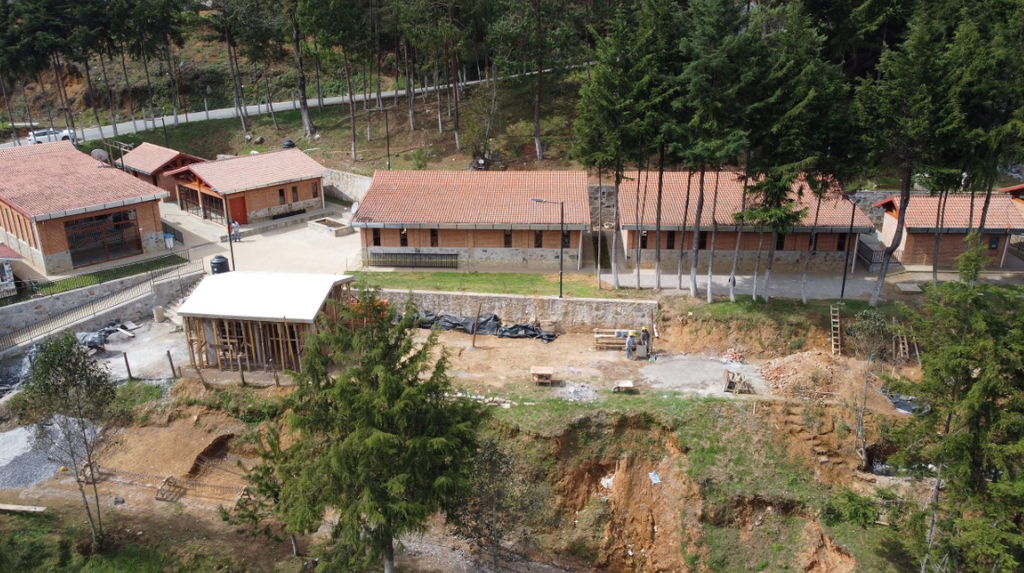 imagen2