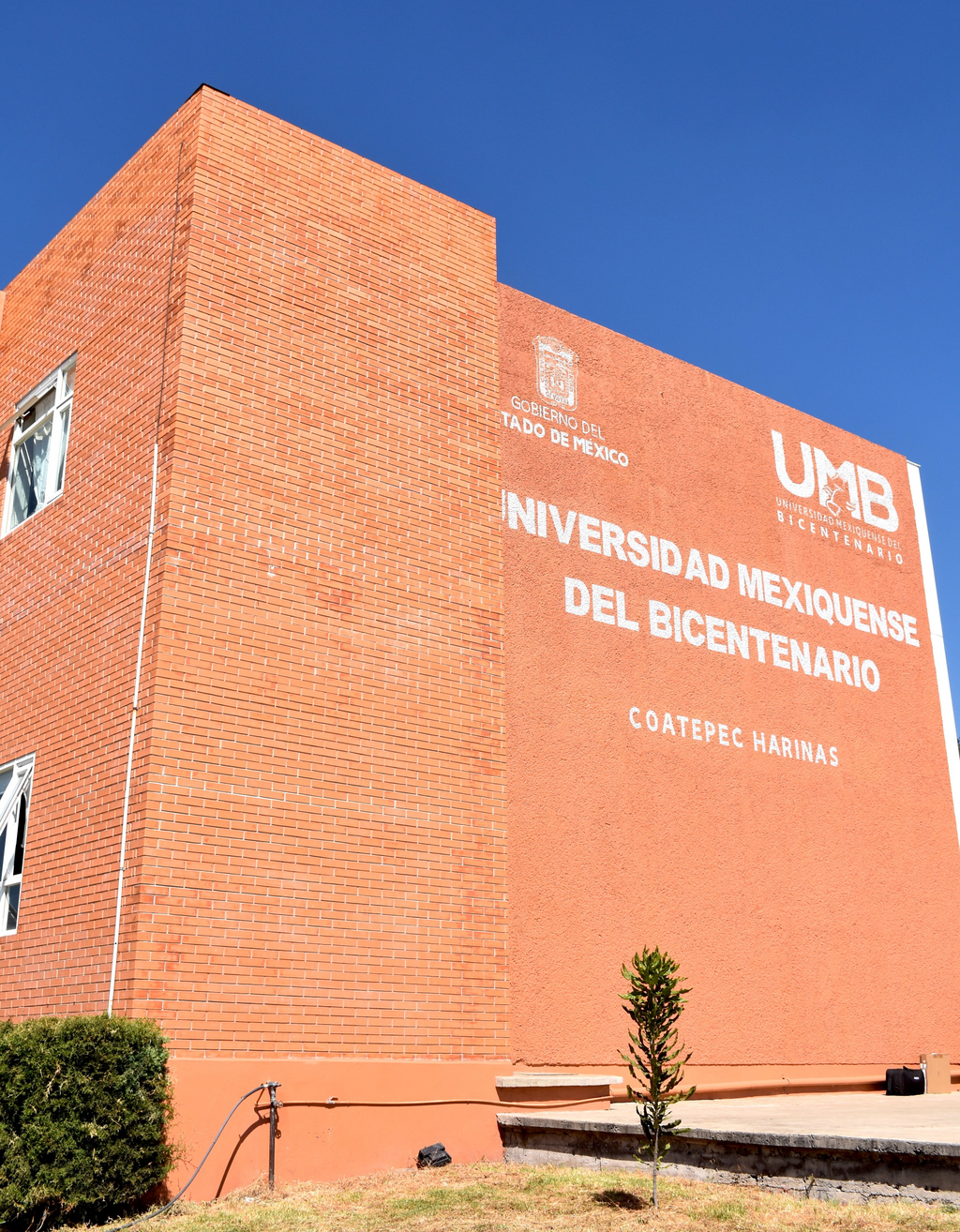 imagen1