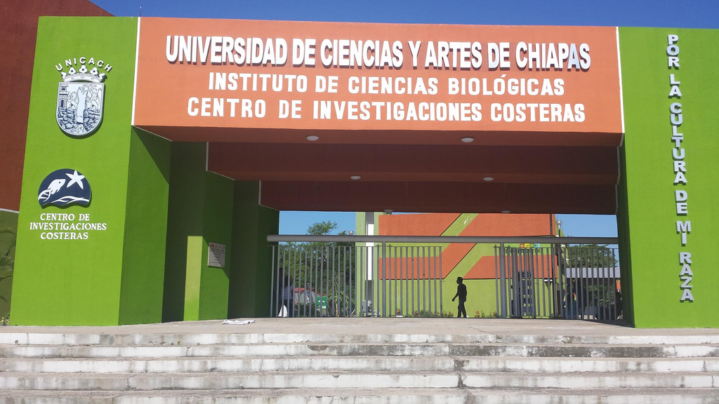 imagen2