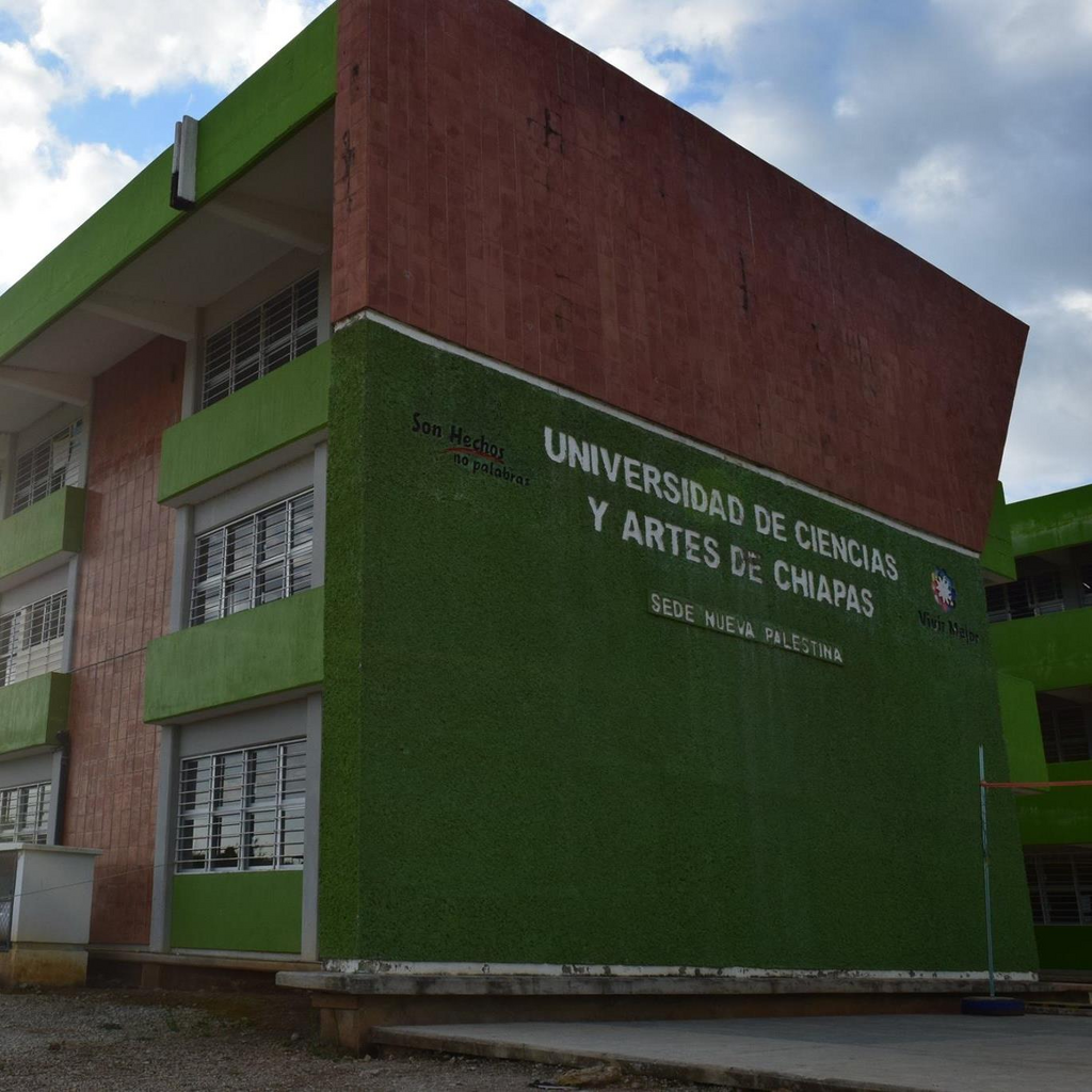 imagen2