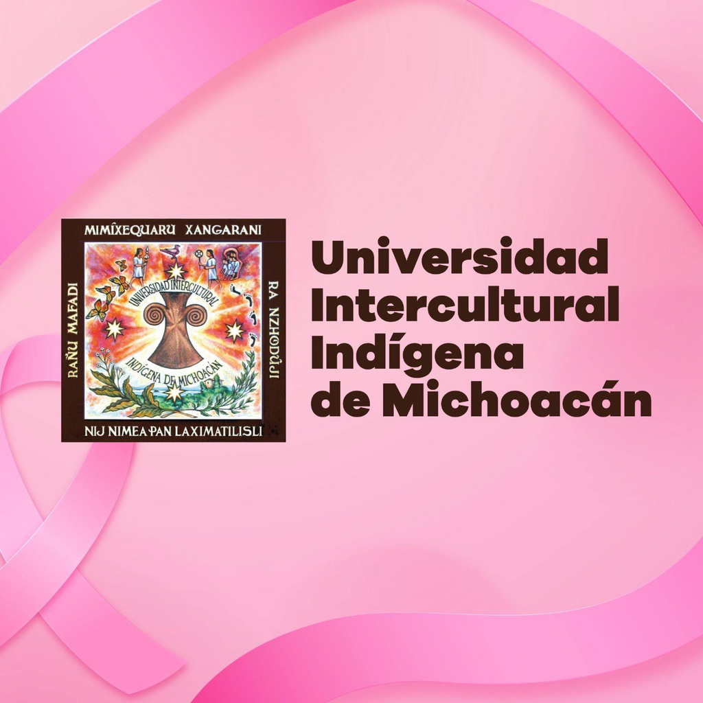 imagen1