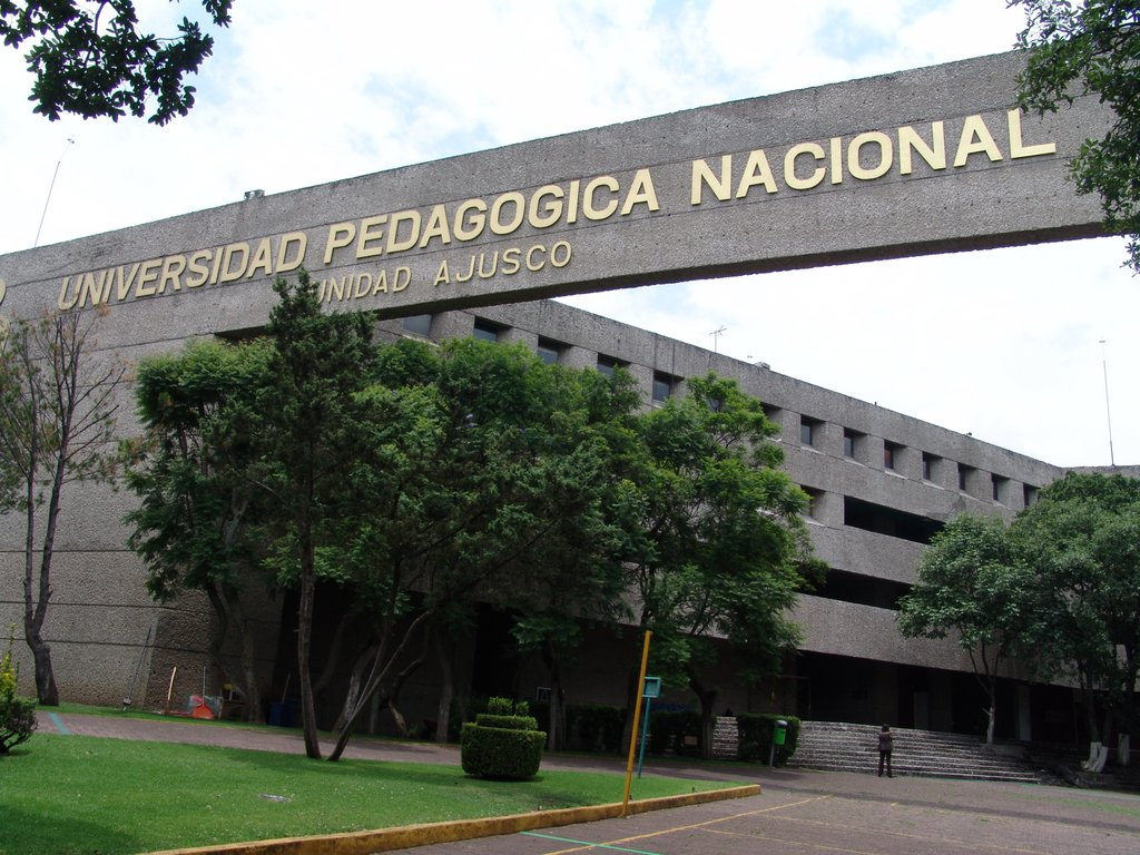 imagen1