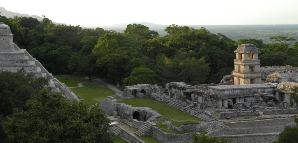 imagen3