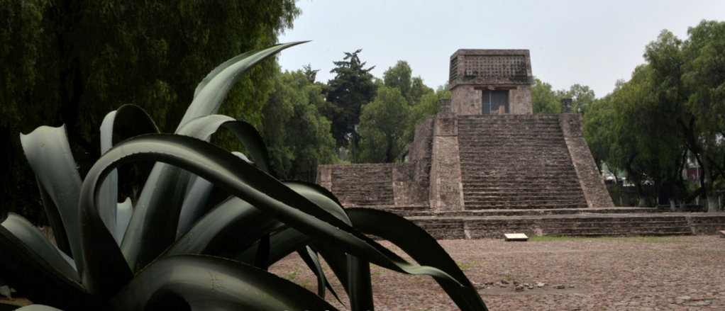 imagen2