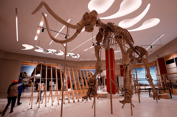 Museo Paleontológico de Santa Lucía Quinametzin : Museos México : Sistema  de Información Cultural-Secretaría de Cultura