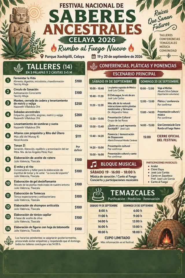 imagen1