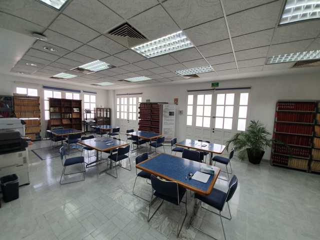 imagen3
