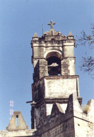 imagen1
