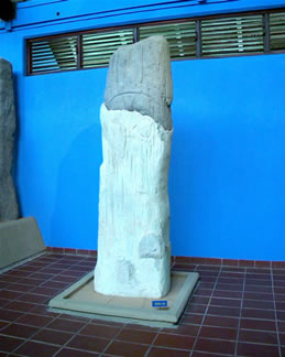 imagen1