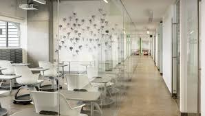imagen1
