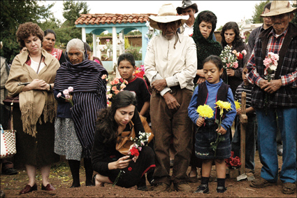 imagen1