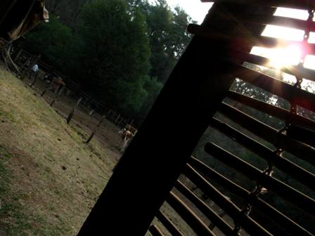 imagen3