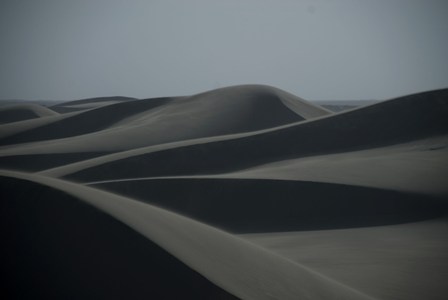 imagen1