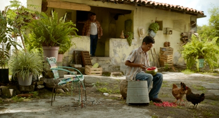 imagen1