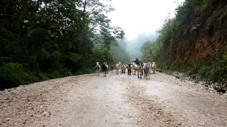 imagen2