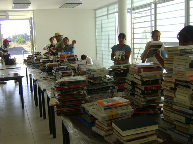 imagen3