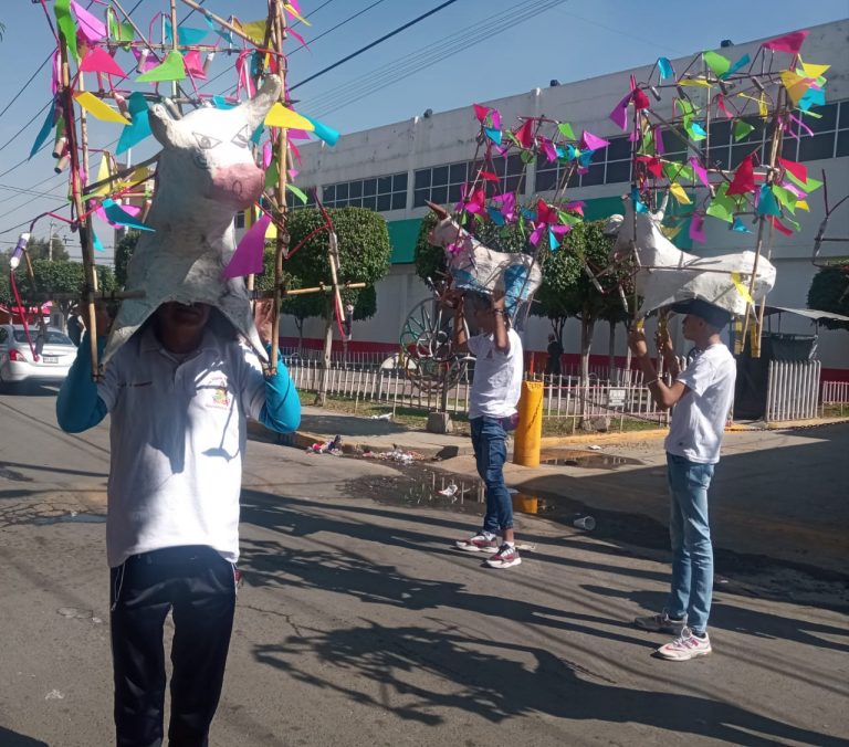 imagen1