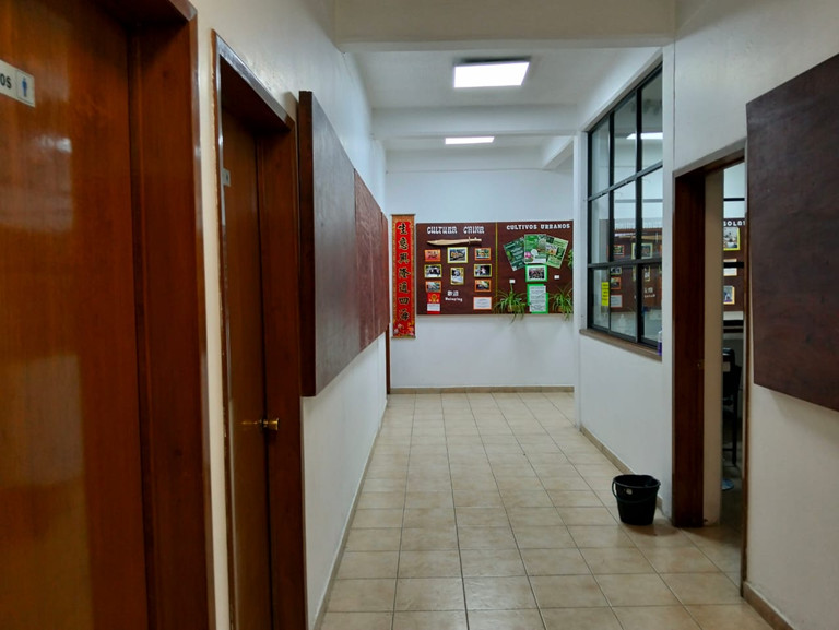 imagen3